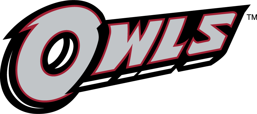 Temple Owls 2014-2020 Wordmark Logo v4 diy iron on heat transfer